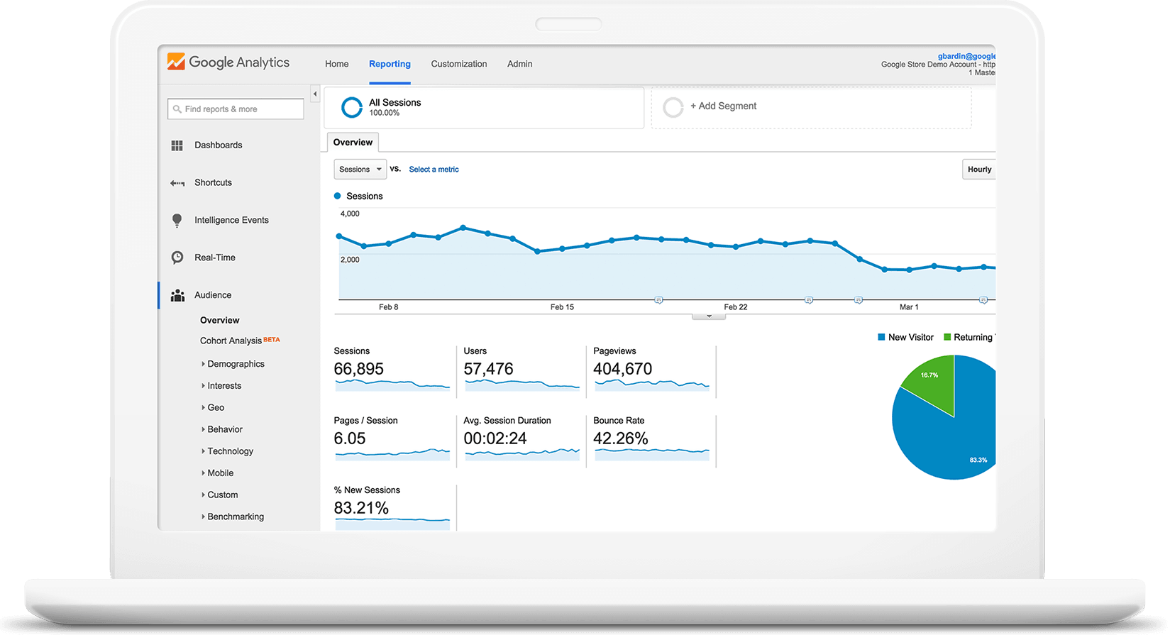 Google Analytics Screenshot